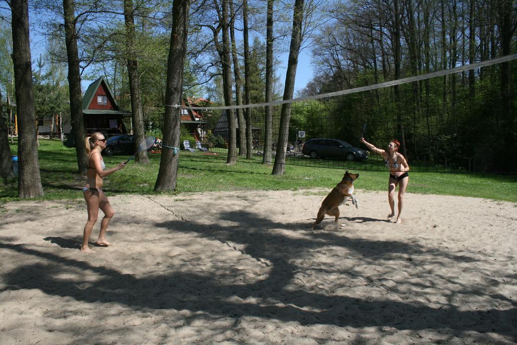 Stajnia Sarnowek Nad Jeziorem Rozany Rozajny Wielkie Kültér fotó