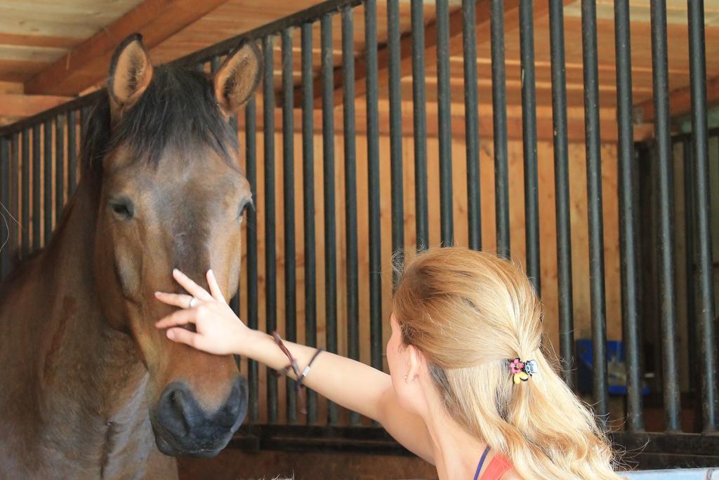 Stajnia Sarnowek Nad Jeziorem Rozany Rozajny Wielkie Kültér fotó