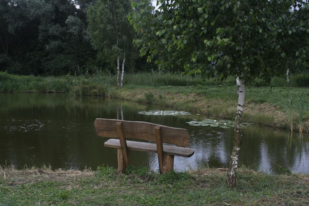 Stajnia Sarnowek Nad Jeziorem Rozany Rozajny Wielkie Kültér fotó