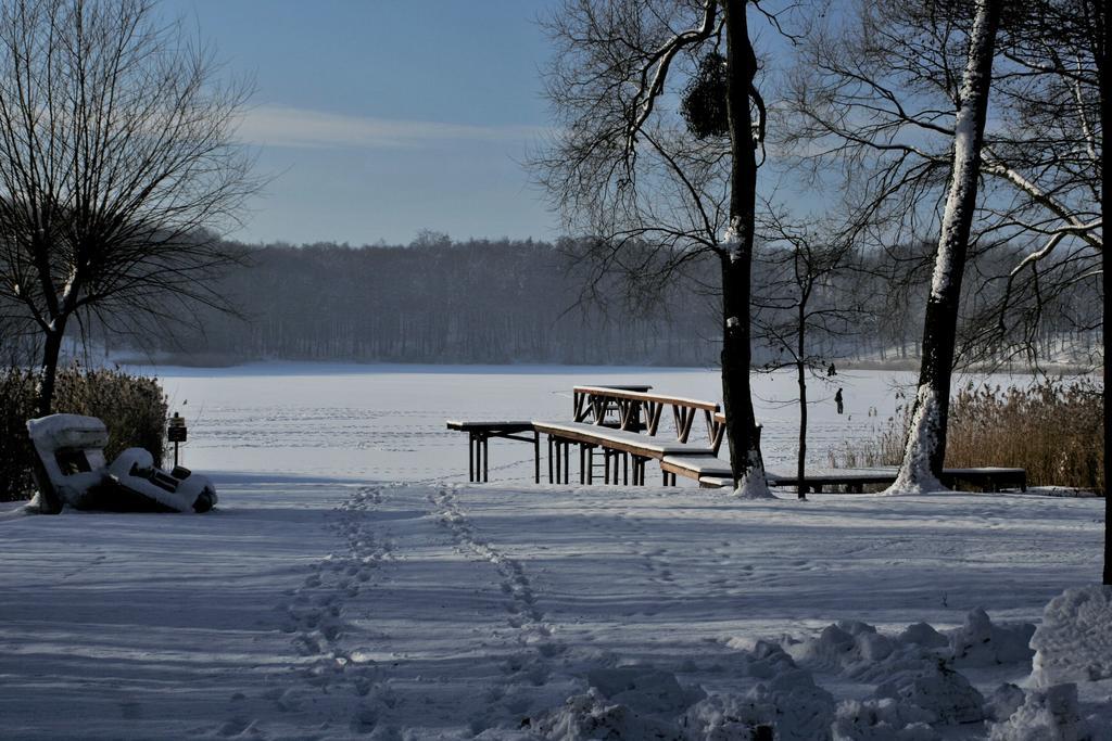 Stajnia Sarnowek Nad Jeziorem Rozany Rozajny Wielkie Kültér fotó