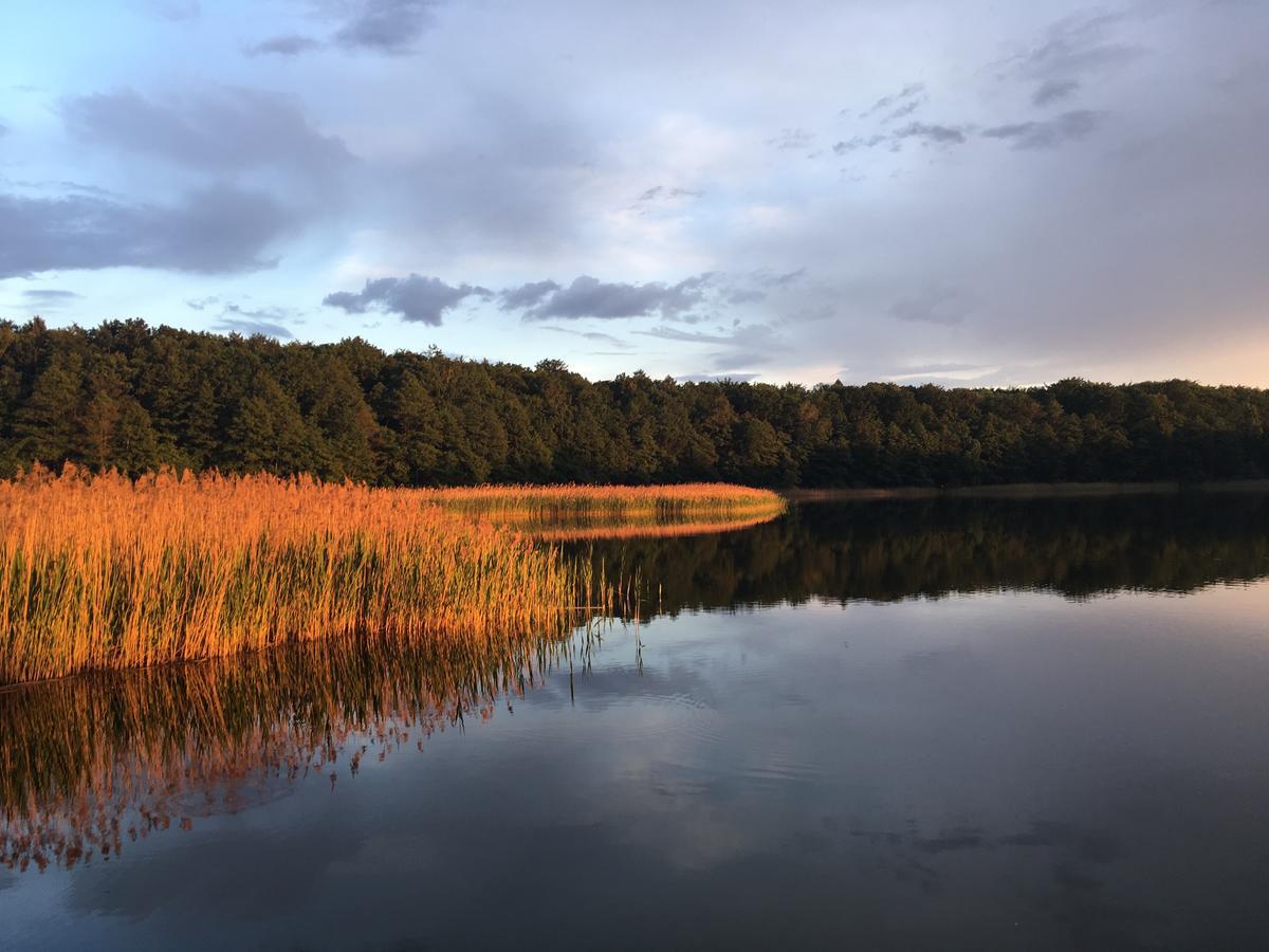 Stajnia Sarnowek Nad Jeziorem Rozany Rozajny Wielkie Kültér fotó